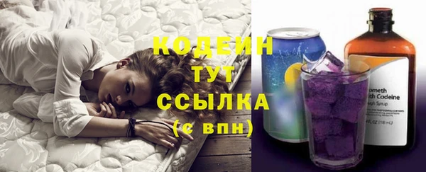 ПСИЛОЦИБИНОВЫЕ ГРИБЫ Аркадак