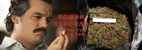 ПСИЛОЦИБИНОВЫЕ ГРИБЫ Арсеньев