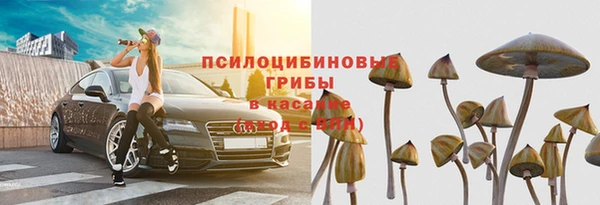ПСИЛОЦИБИНОВЫЕ ГРИБЫ Аркадак