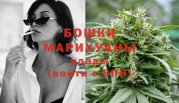 ПСИЛОЦИБИНОВЫЕ ГРИБЫ Аркадак