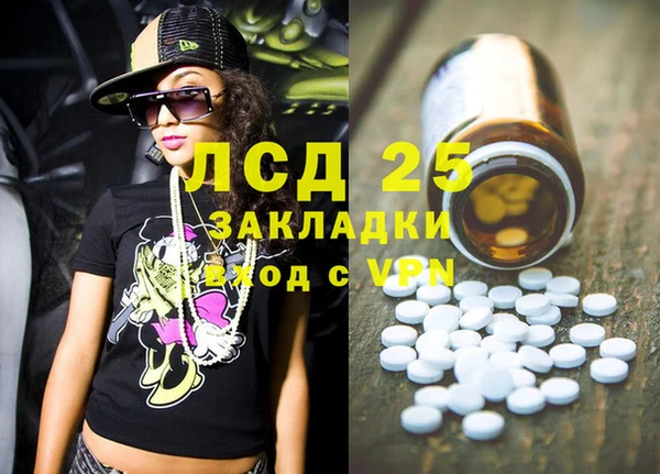 ПСИЛОЦИБИНОВЫЕ ГРИБЫ Арсеньев