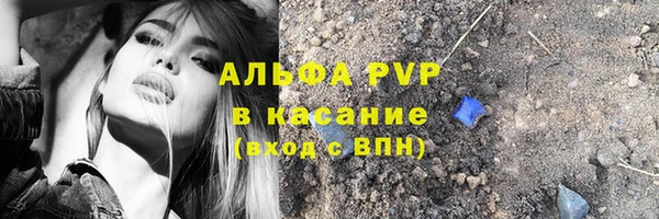 ПСИЛОЦИБИНОВЫЕ ГРИБЫ Аркадак