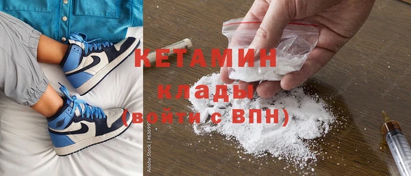 твердый Пересвет