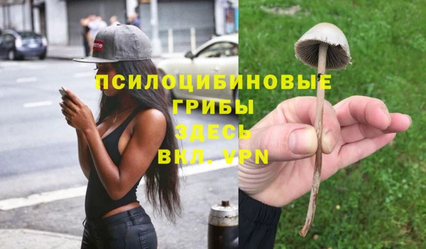ПСИЛОЦИБИНОВЫЕ ГРИБЫ Аркадак