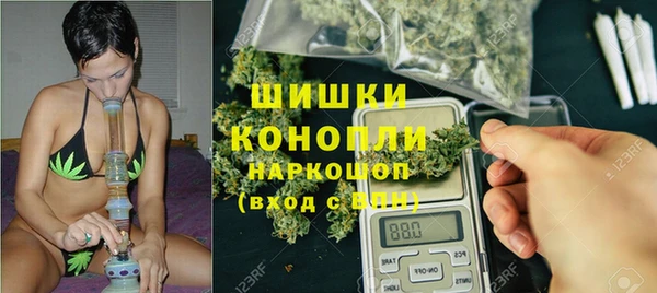 ПСИЛОЦИБИНОВЫЕ ГРИБЫ Аркадак