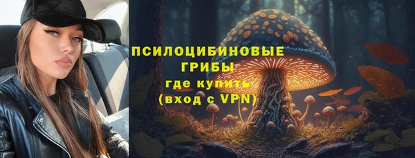 ПСИЛОЦИБИНОВЫЕ ГРИБЫ Арсеньев